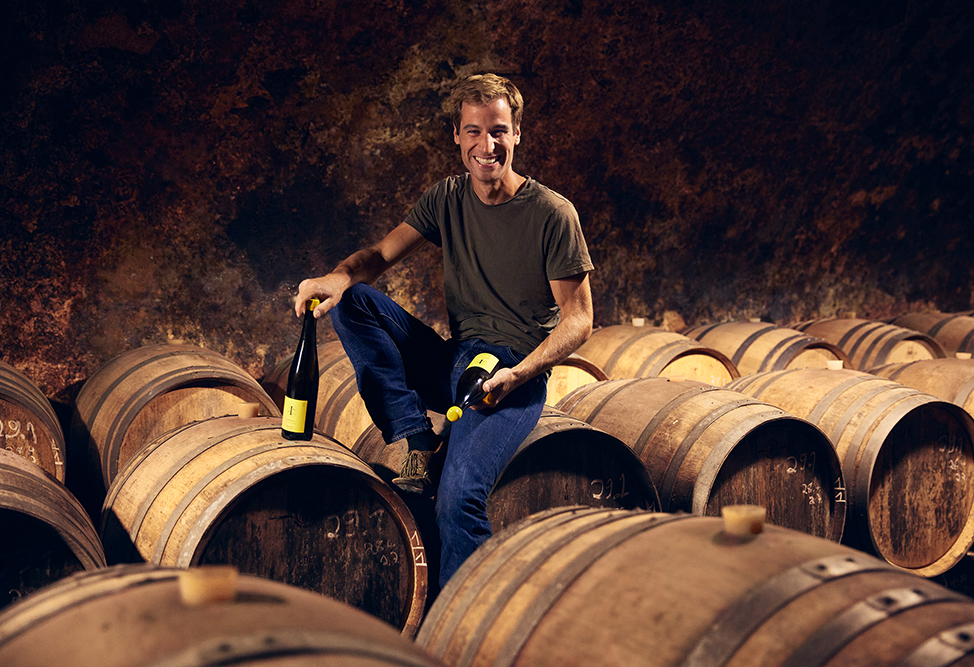 Weingut Immel - Rheinhessen viinituottaja